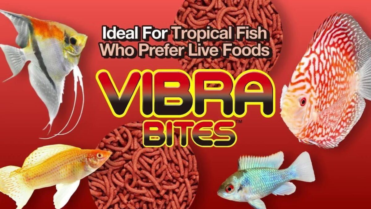 ⁦هيكاري فيبرا بايتس  - Hikari® Tropical Vibra Bites™⁩ - الصورة ⁦2⁩