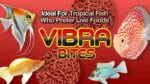 ⁦هيكاري فيبرا بايتس  - Hikari® Tropical Vibra Bites™⁩ - الصورة ⁦2⁩