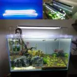 Custom LED Light Bar for Aquarium – White or Colored, Choose by Size