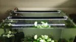 Custom LED Light Bar for Aquarium – White or Colored, Choose by Size - Image 4