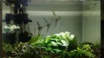 Custom LED Light Bar for Aquarium – White or Colored, Choose by Size - Image 5