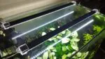 Custom LED Light Bar for Aquarium – White or Colored, Choose by Size - Image 3