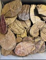 ورق اللوز الهندي - 20 ورقة - Image 2