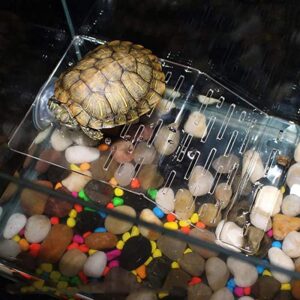 Terrace Turtle Bask Island Acrylic Platform