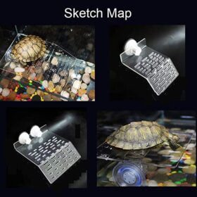 Terrace Turtle Bask Island Acrylic Platform - Image 3