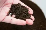 ⁦ADA Aqua Soil Amazonia⁩ - الصورة ⁦3⁩