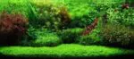 ⁦ADA Aqua Soil Amazonia⁩ - الصورة ⁦5⁩