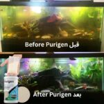 سيكيم بيوريجين، مرشح لتصفية الشوائب وتغير لون المياه وقابل لاعاده الاستخدام، ١٠ مل تكفى حوض ٤٠ لتر