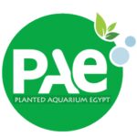 PAe Store
