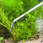 48cm Curved Stainless Steel Aquascaping Tweezers – Silver - Image 5