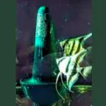 ⁦قمع تفريخ أخضر - فخار عرفه ناصر - CAVE⁩ - الصورة ⁦2⁩