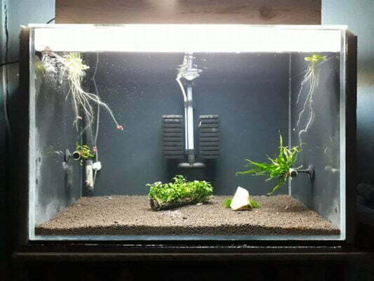 ⁦فلتر بايولجي اسفنجي اسطواني مزدوج⁩ - الصورة ⁦3⁩