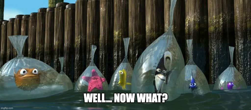 You were not leaving your cart just like that, right?