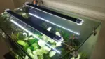 Custom LED Light Bar for Aquarium – White or Colored, Choose by Size - Image 2