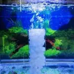 ⁦Nitrifying حلقات ميديا بلاستيكية  K1 للبكتيريا الهوائية - أبيض - 30 جرام⁩ - الصورة ⁦7⁩