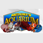 Anthony's Aquariums
