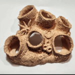 شعب مرجانية - فخار عرفه ناصر - CAVE - Image 2