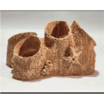 شعب مرجانية - فخار عرفه ناصر - CAVE - Image 4