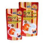 Hikari Oranda Gold