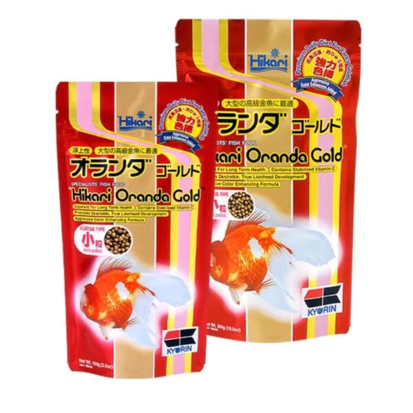 Hikari Oranda Gold