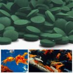 اقراص سبيرولينا عضوية فاخرة أمريكية - 10 قرص