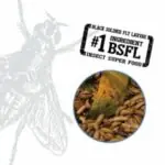 ⁦طعام أسماك استوائية فلوفال Bug Bites حبيبات بروتين حشرات 100 جرام⁩ - الصورة ⁦2⁩
