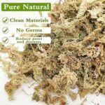 سفاجنوم موس - Sphagnum Moss - 25g