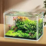 حوض أسماك زجاج كريستال بحواف منحنية عالية الشفافية (Curved Corner Aquarium)