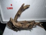 ⁦خشب دريفت وود طبيعي للأكواريوم، وزن 1.080 كجم، قطعة فريدة (كود 6)⁩ - الصورة ⁦3⁩
