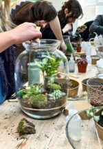 Terrarium Online Workshop with Green Eco Jar - Image 2