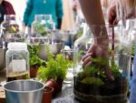 Terrarium Online Workshop with Green Eco Jar - Image 3