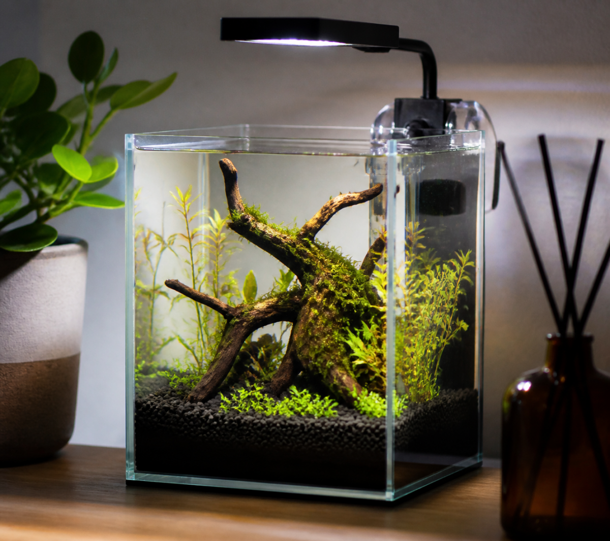 Small nano desktop aquarium with driftwood and LED light