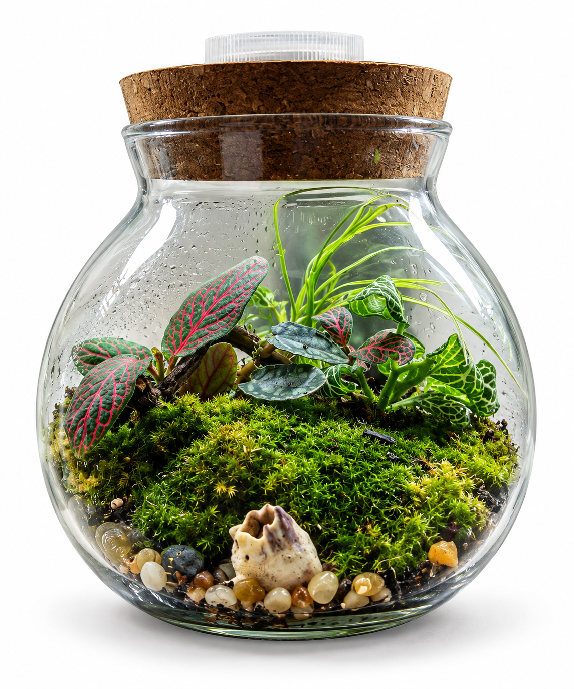 ChatGPT Image Oct 2, 2026, 01_34_21 AM Mini Lighted Terrarium Jar – Moss & Fittonia Natural Landscape - Image 1