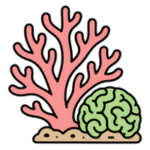Live Corals