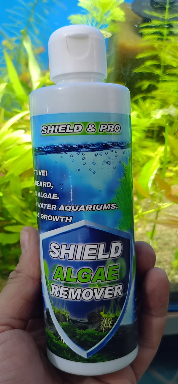 Shield Algae Remover